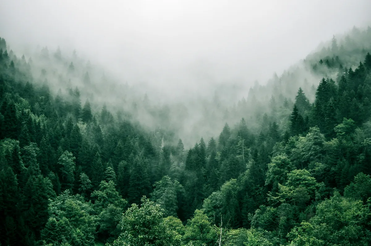 Best Offline Meditation Timer Apps: Practice Without Wi-Fi, Signal, or Distractions